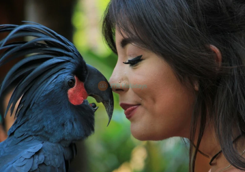 Lombok Wildlife Park