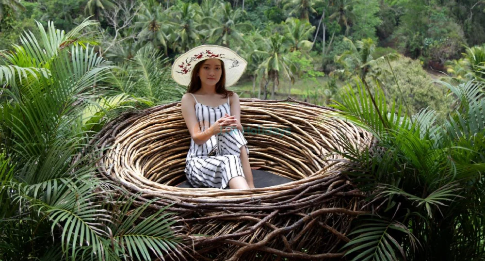 Picheaven Bali Swing Ticket - Discover Picheaven Ubud Swing, Bali’s must-do jungle swing in Ubud. Glide over emerald rice terraces on single or tandem swings, capture Instagrammable shots at 11 photo spots, and enjoy convenient hotel transfers. Book your Bali swing ticket today. Picheaven Bali Swing Ticket - Image 1 of 5