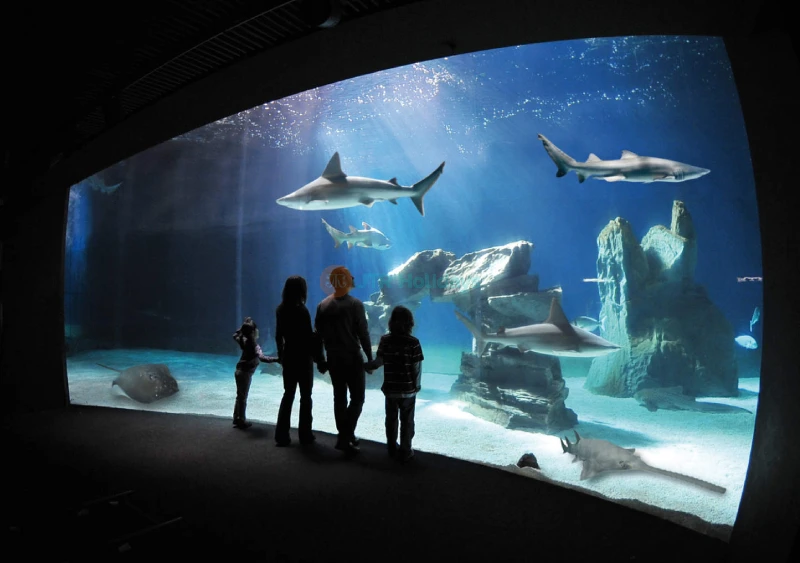 Aquarium of Genoa