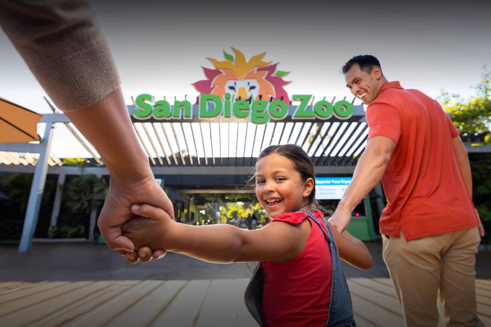 圣地亚哥动物园 - 图片 3 的 5