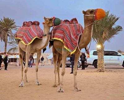 Caravanserai Desert Safari Dubai - Image 5 of 5