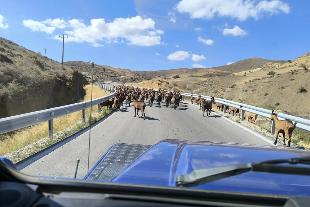 Tour por la Playa Trypiti y el Cañón Safari en el Sur de Creta - Vive la aventura definitiva de Safari en el Sur de Creta con nuestra Excursión 4×4 Todoterreno a la Playa y Garganta Trypiti. Este tour guiado cretense combina la emocionante conducción todoterreno por la dramática Garganta Trypiti con una visita a una playa escondida y apartada en la soleada costa sur de Creta. Nada en aguas cristalinas, explora ruinas minoicas y romanas antiguas, y saborea un auténtico almuerzo de barbacoa en una taberna tradicional rodeada de olivares. Captura vistas panorámicas del Mar Libio, pasea por encantadores pueblos montañosos y aprende sobre la cultura cretense local en esta excursión natural ecoamigable y familiar. Reserva hoy tu Safari por el Sur de Creta para una inolvidable mezcla de aventura, historia y relajación junto al mar. Tour por la Playa Trypiti y el Cañón Safari en el Sur de Creta - Imagen 5 de 5