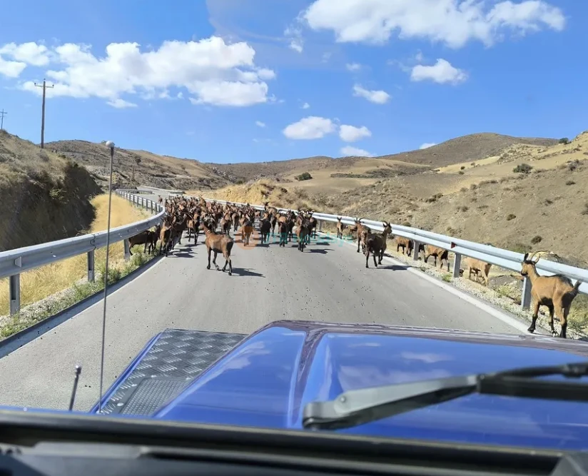 Trypiti Beach and Gorge South Crete Safari Tour - Image 5 of 5