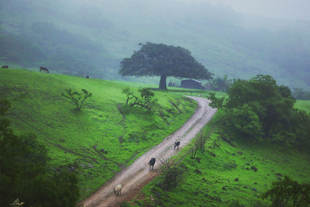 عطلة خريف صلالة 2025 من دبي بالحافلة – جي تي آر هوليديز - صورة 1 من 5