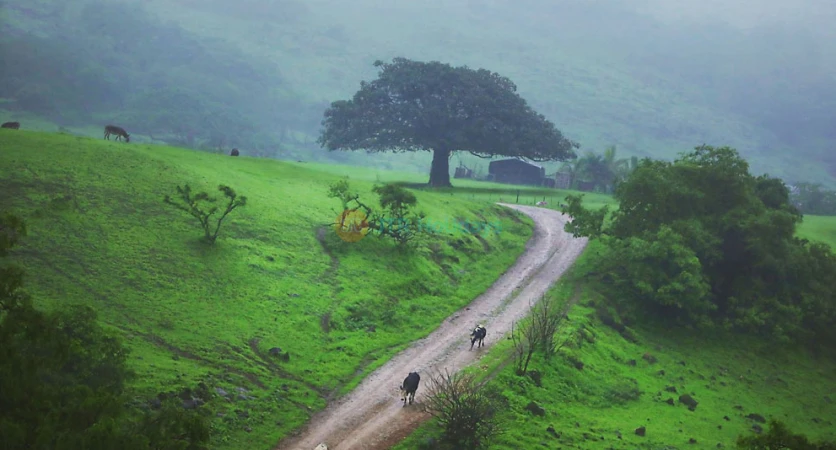 Salalah Tour Package - 4 Nights 5 Days