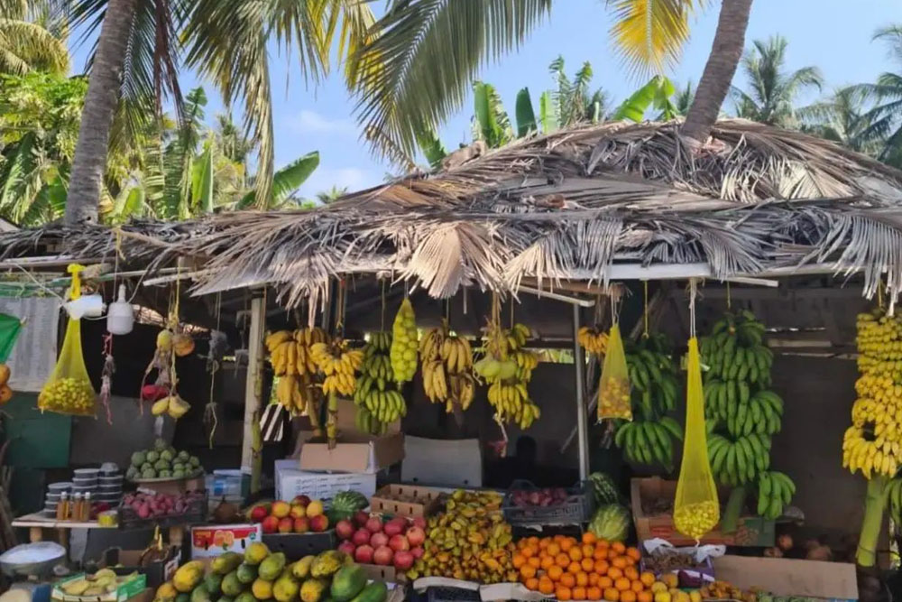 عطلة خريف صلالة 2025 من دبي بالحافلة – جي تي آر هوليديز - Image 6 of 11