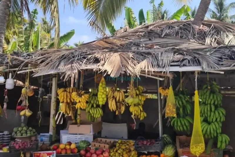 Salalah Tour Package - 4 Nights 5 Days