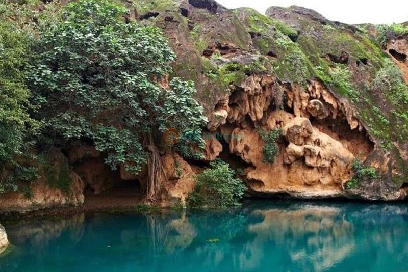 Salalah Tour Package - 4 ليالٍ 5 أيام - Image 7 of 11