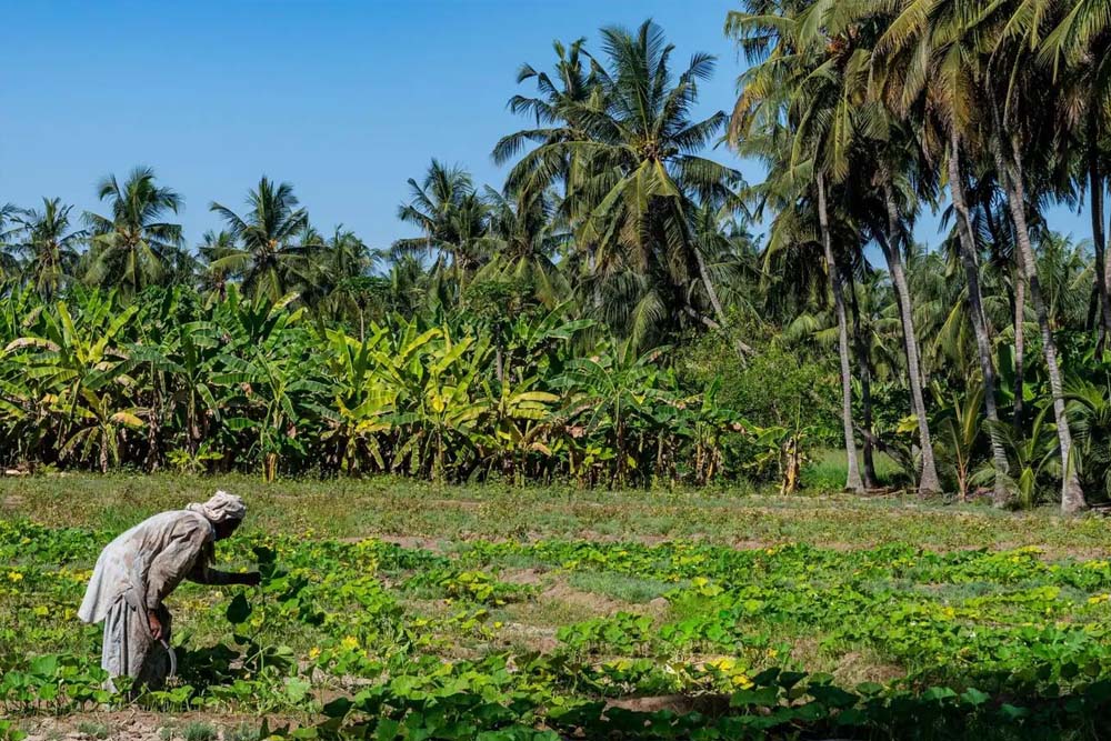 عطلة خريف صلالة 2025 من دبي بالحافلة – جي تي آر هوليديز - Image 10 of 11