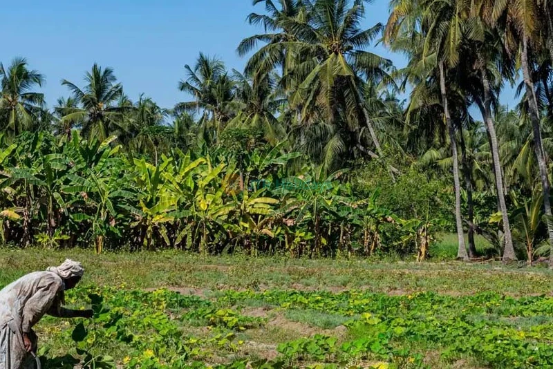 Salalah Tour Package - 4 Nights 5 Days