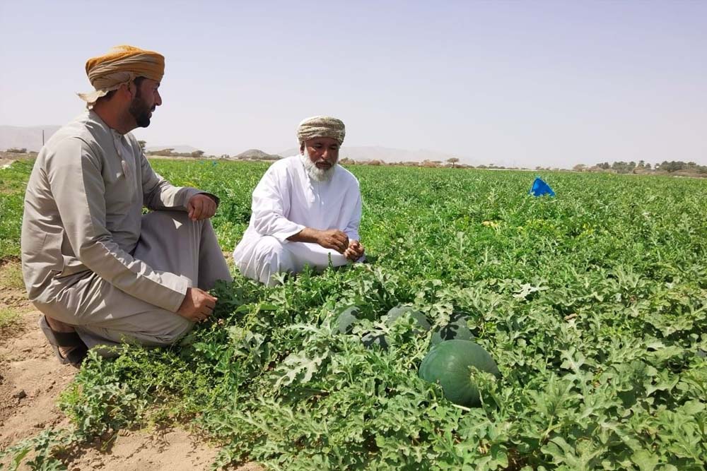 عطلة خريف صلالة 2025 من دبي بالحافلة – جي تي آر هوليديز - Image 11 of 11