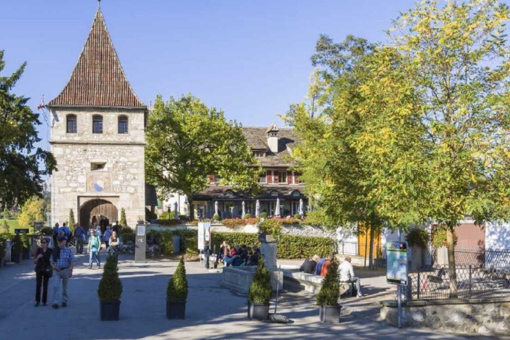 Rhine Falls Tour from Zurich Ticket - Image 7 of 7