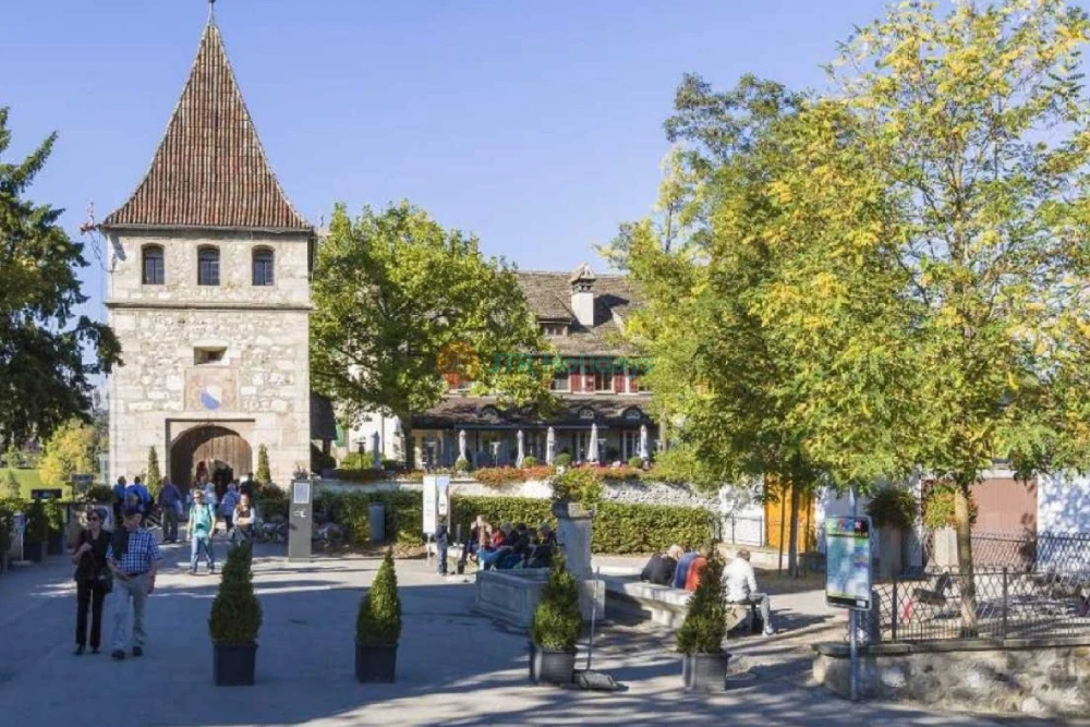 Explore Rhine Falls from Zurich Ticket - JTR Holidays