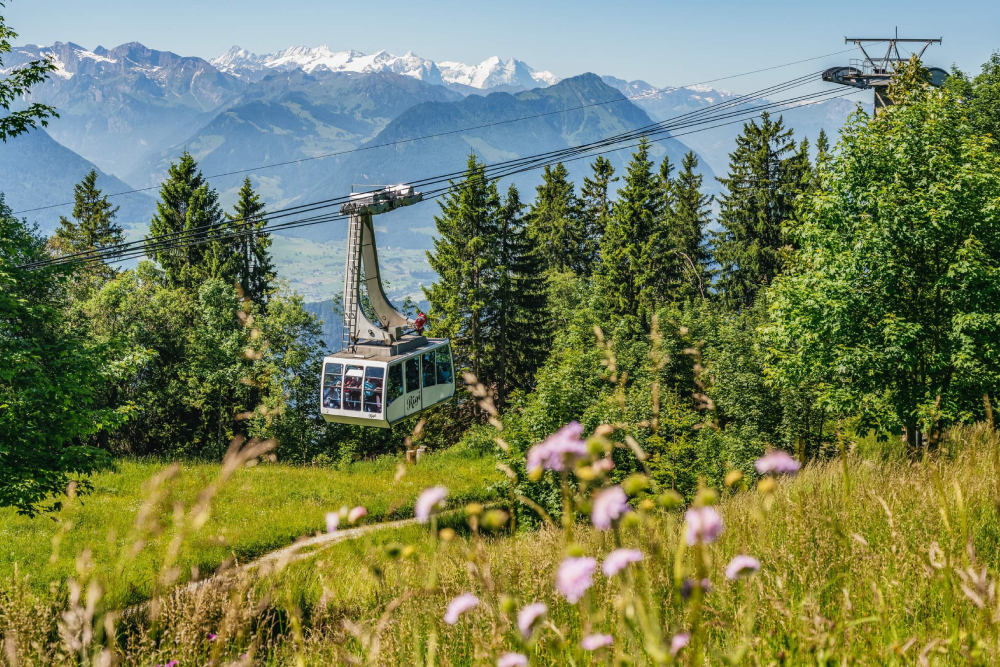 Mount Rigi Tour Ticket - Experience the Mount Rigi Day Tour from Zurich and Lucerne with JTR Holidays. Enjoy a scenic Lake Lucerne cruise, ride Europe’s first cogwheel train, explore Rigi Kulm, and take in breathtaking Swiss Alps views. Includes aerial cable car, guided sightseeing, and free time in Lucerne. Perfect for nature lovers and those seeking a classic Swiss mountain adventure. Book your Mount Rigi tour ticket today for an unforgettable day in Switzerland. Mount Rigi Tour Ticket - Image 1 of 5
