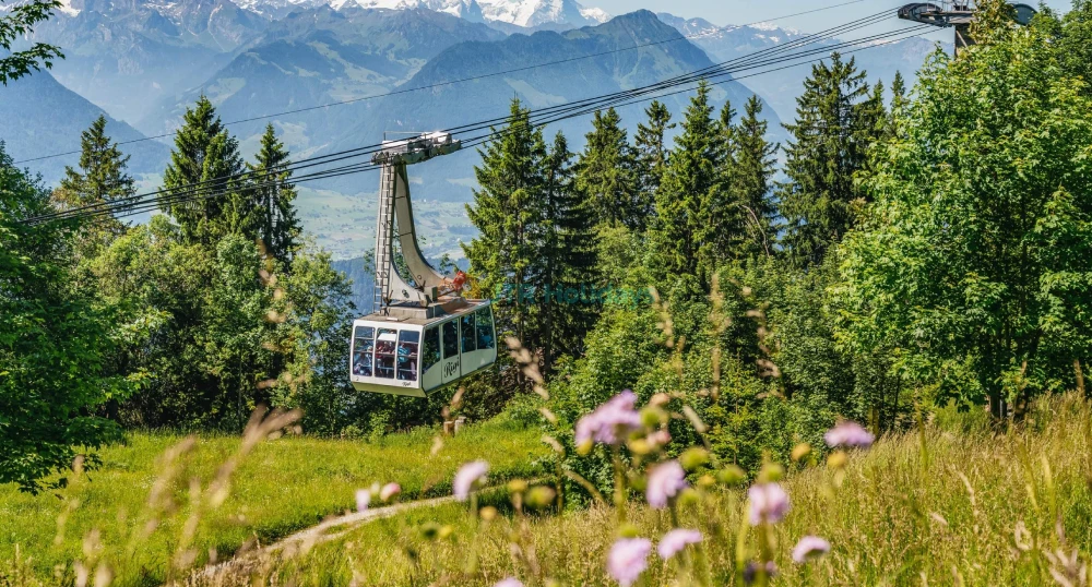 Mount Rigi Day Tour from Zurich and lucerne Ticket - JTR Holidays - Image 1 of 5