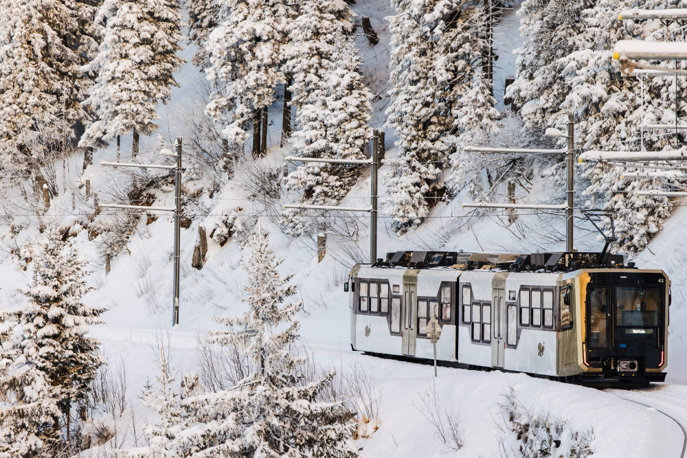 Entrada para el Tour al Monte Rigi - Imagen 2 de 5