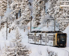 Mount Rigi Day Tour from Zurich and lucerne Ticket - JTR Holidays