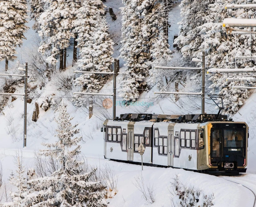 Mount Rigi Day Tour from Zurich and lucerne Ticket - JTR Holidays - Image 2 of 5