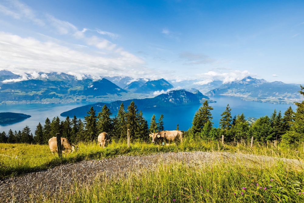 Entrada para el Tour al Monte Rigi - Imagen 3 de 5