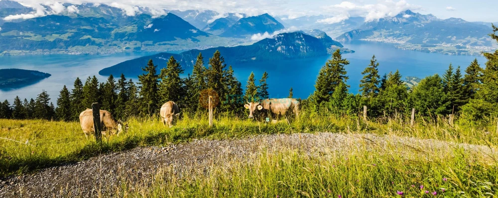 Mount Rigi Tour Ticket - Image 3 of 5