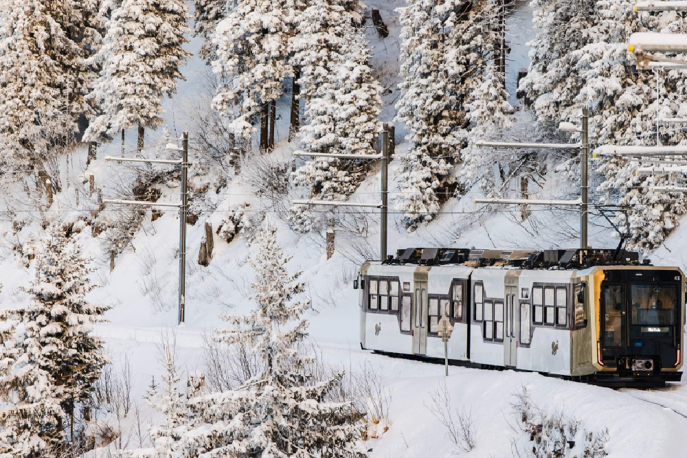 Entrada Montaña Rigi Reina de las Montañas - Imagen 3 de 5