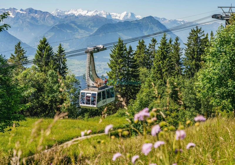 Mount Rigi Queen of the Mountains Ticket