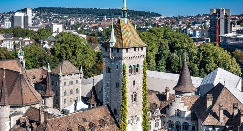 Entrada al Museo Nacional de Suiza - Image 1 of 8