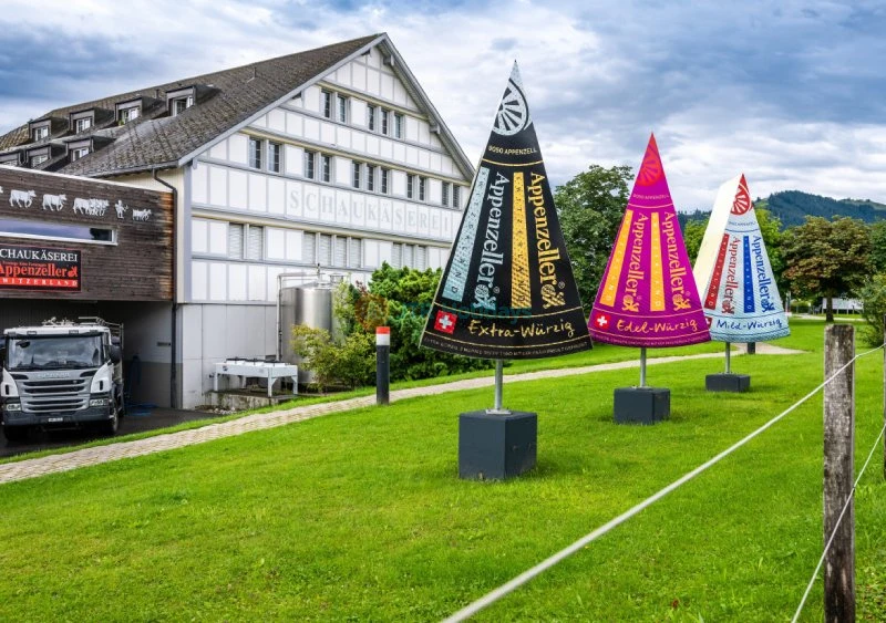 Tour di Appenzell da Zurigo con Biglietto per Degustazione di Formaggio e Cioccolato