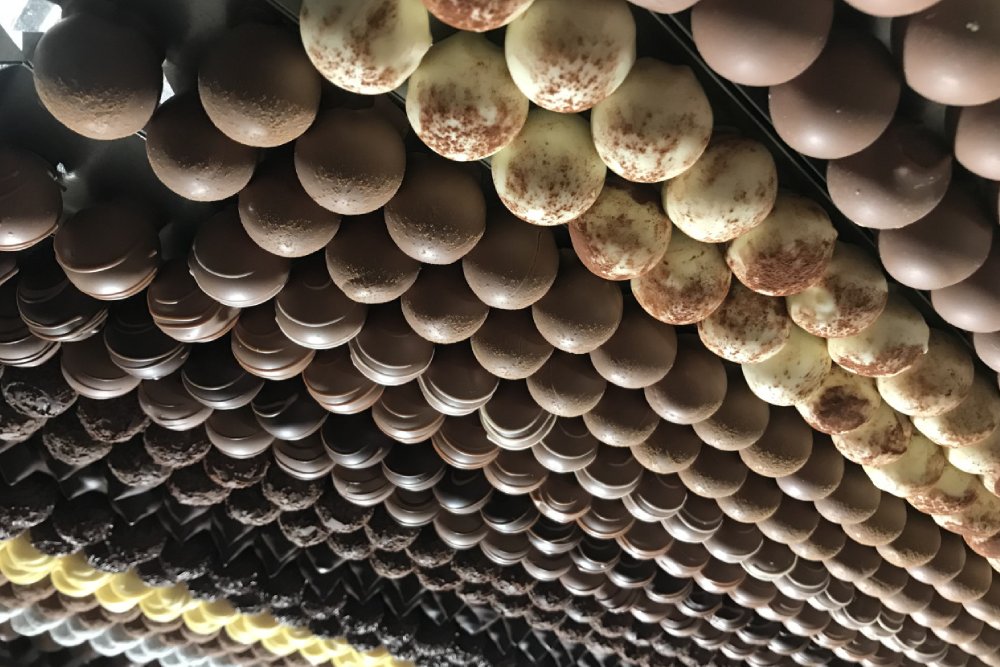 Appenzell Tour from Zurich with Cheese and Chocolate Tasting Ticket - Image 5 of 8