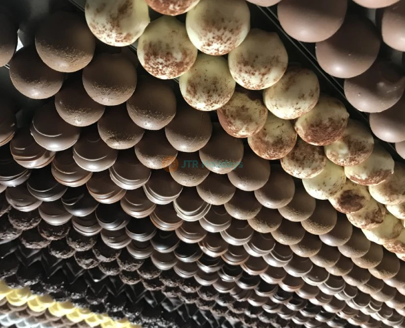 Appenzell Day Tour from Zurich | Cheese & Chocolate Tasting Experience in Switzerland-JTR Holidays - Image 5 of 5