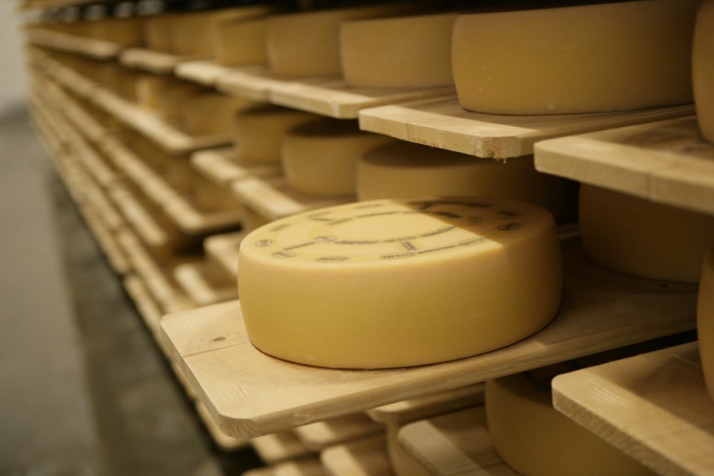 Appenzell Tour from Zurich with Cheese and Chocolate Tasting Ticket - Image 6 of 8