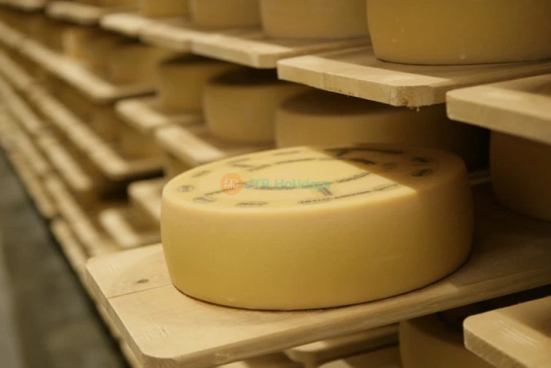 Appenzell Day Tour from Zurich | Cheese & Chocolate Tasting Experience in Switzerland-JTR Holidays - Image 6 of 8