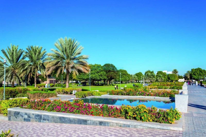 Tour della città di Al Ain da Dubai