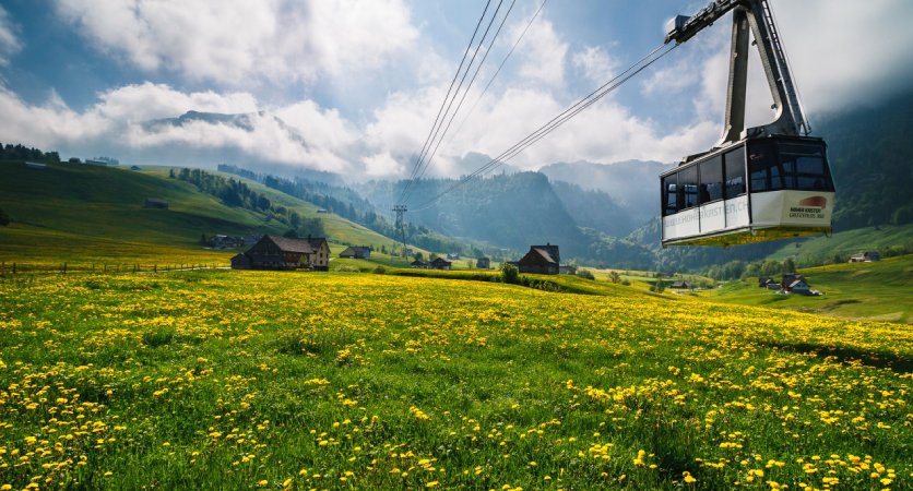 Appenzell Tour from Zurich with Cheese and Chocolate Tasting Ticket - Image 1 of 8