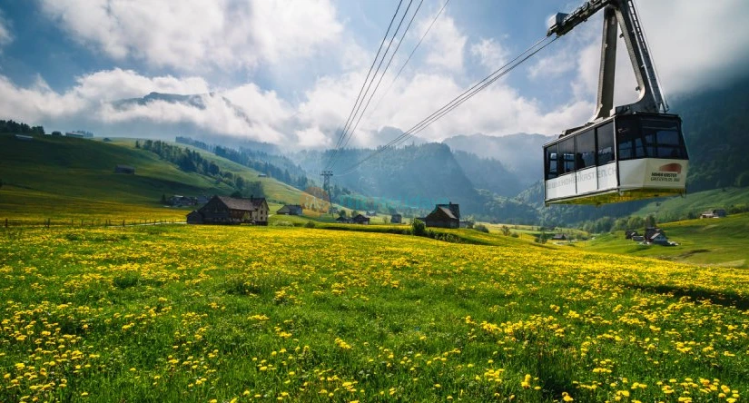 Appenzell Day Tour from Zurich | Cheese & Chocolate Tasting Experience in Switzerland-JTR Holidays - Image 1 of 5