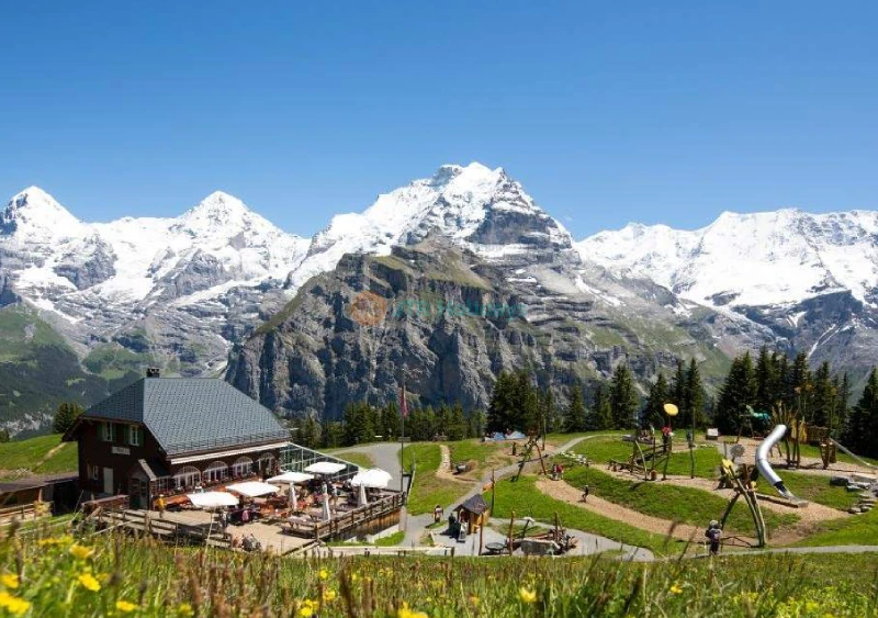 Tandem Paragliding Experience in Interlaken from Zurich