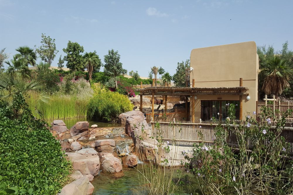 Экскурсия по городу Аль-Айн из Дубая - Image 3 of 8