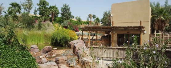 Al Ain City Tour - Places to visit in Al Ain -Sightseeing Tour | Al Ain Zoo