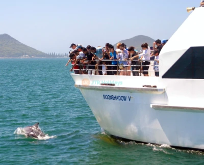 Billet pour la croisière découverte des dauphins à Port Stephens - Image 2 sur 5