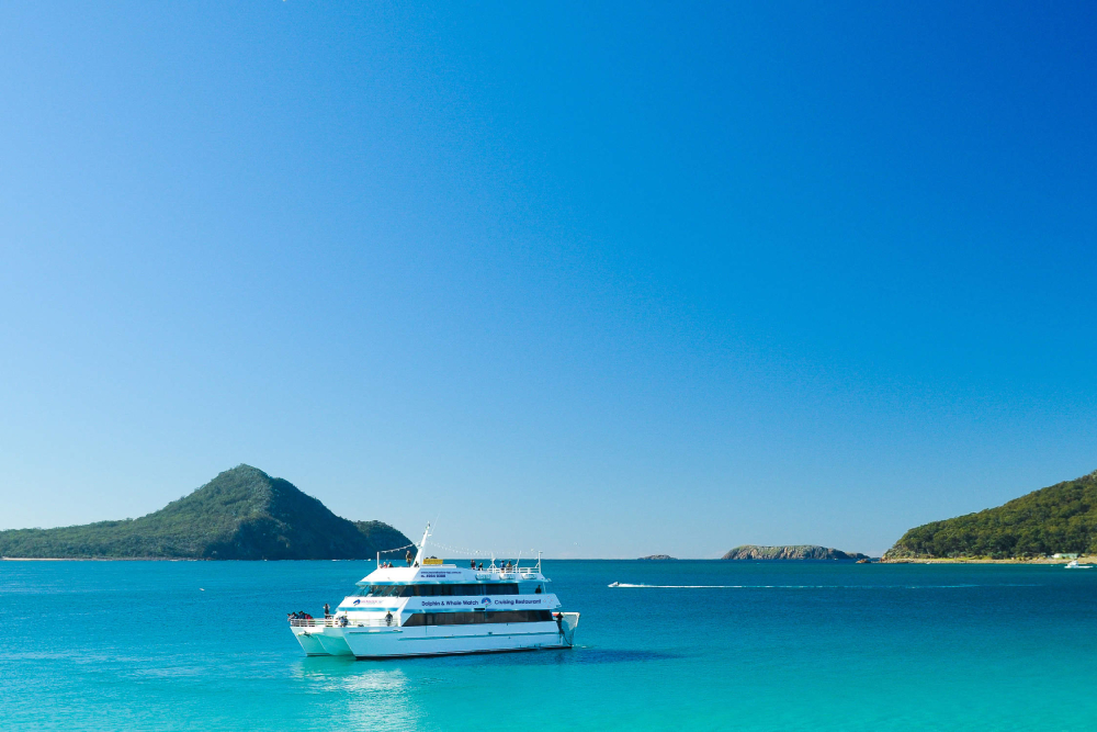 Port Stephens Dolphin Discovery Cruise Ticket - Image 3 of 5