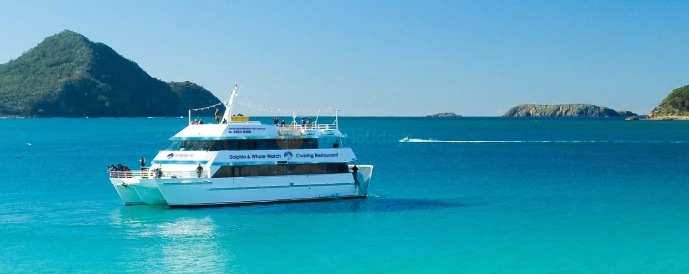 Dolphin Watching in Port Stephens - JTR Holidays