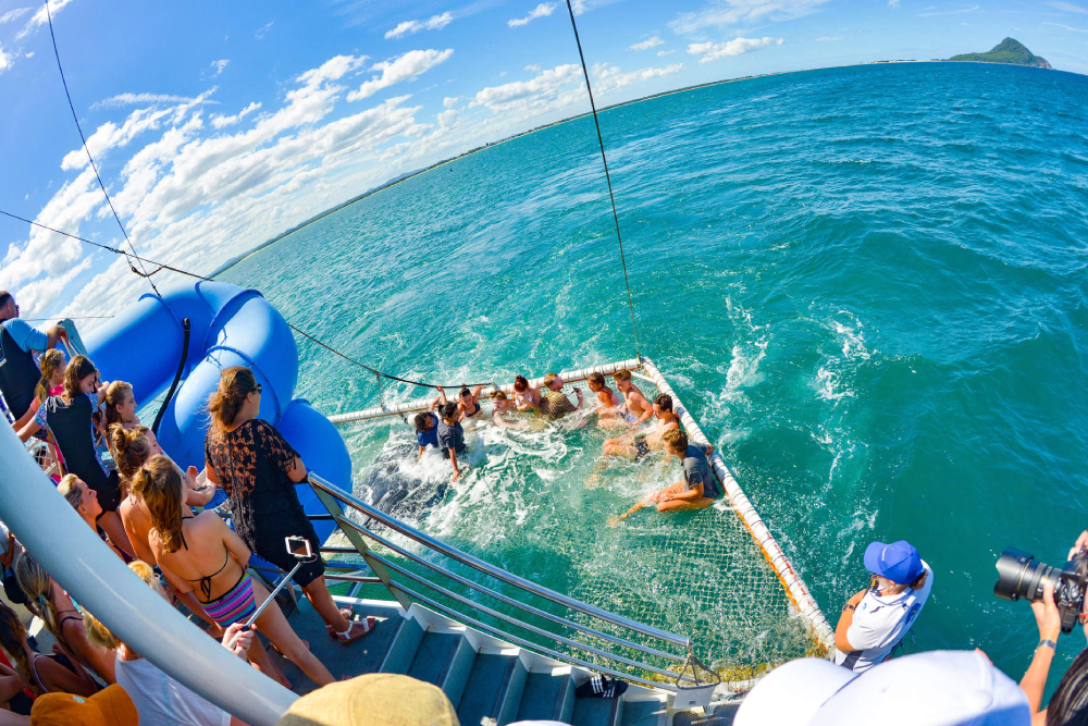 Port Stephens Delfin-Entdeckungsfahrt Ticket - Bild 4 von 5