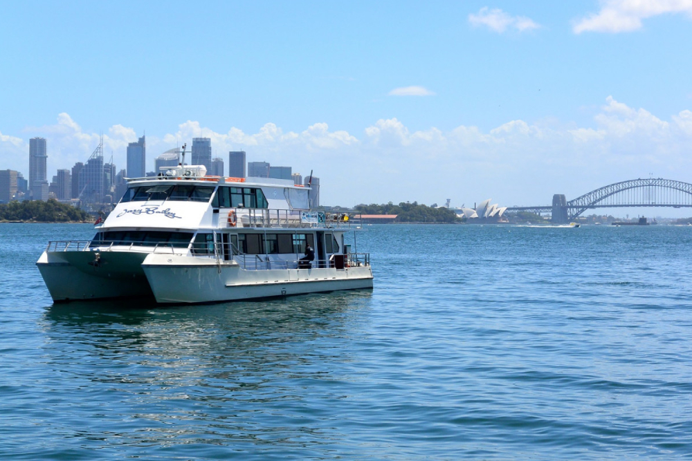 Sydney Harbour BBQ Lunch Discovery Cruise Ticket - Enjoy a scenic Sydney Harbour Cruise with BBQ Lunch, featuring iconic views of the Sydney Opera House, Harbour Bridge, and more. Relax on board with live commentary, a delicious Aussie BBQ buffet, and stunning harbour sights. Book your Sydney lunch cruise tickets online today for an unforgettable experience on the water. Sydney Harbour BBQ Lunch Discovery Cruise Ticket - Image 1 of 5
