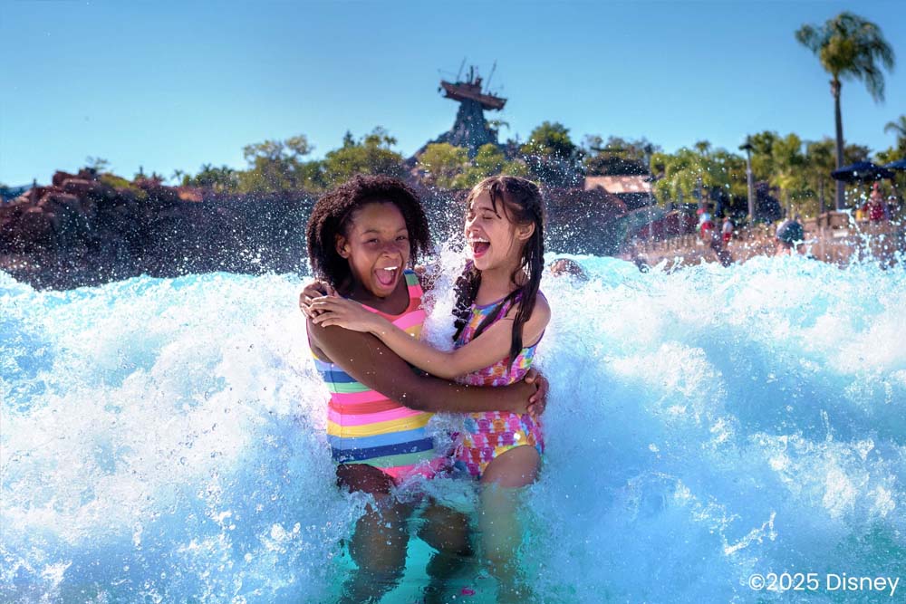 Walt Disney World Resort Ticket - Image 5 of 9