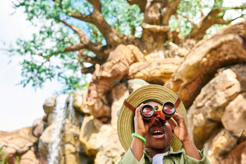 Walt Disney World Resort Florida Tickets | Theme Parks & Water Parks - JTR Holidays