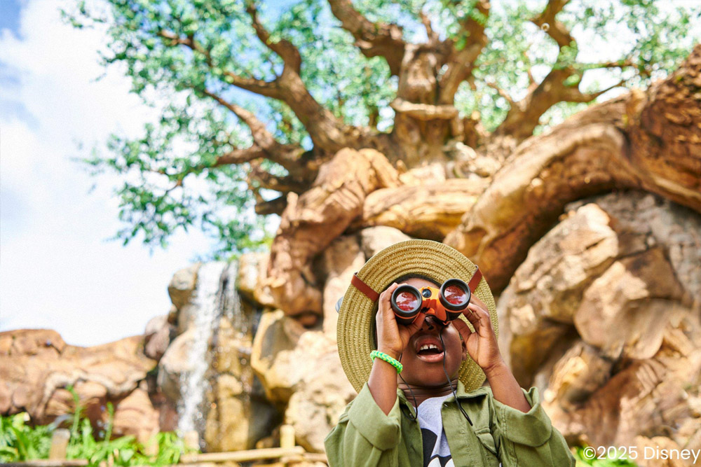 Walt Disney World Resort Ticket - Image 6 of 9