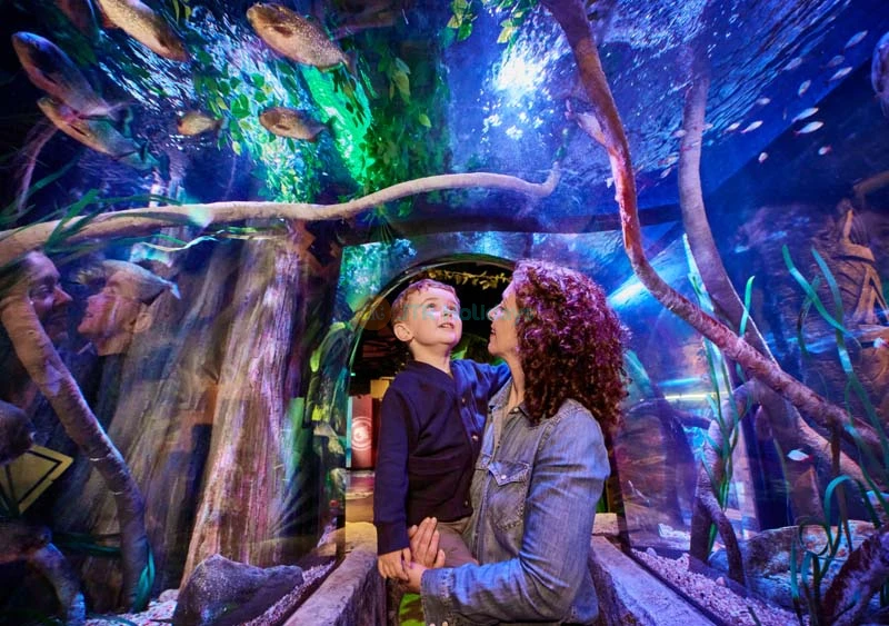 SEA LIFE New Jersey Aquarium