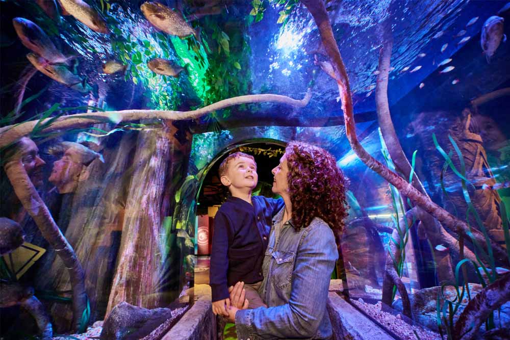 新泽西海洋生命水族馆 - Image 1 of 7