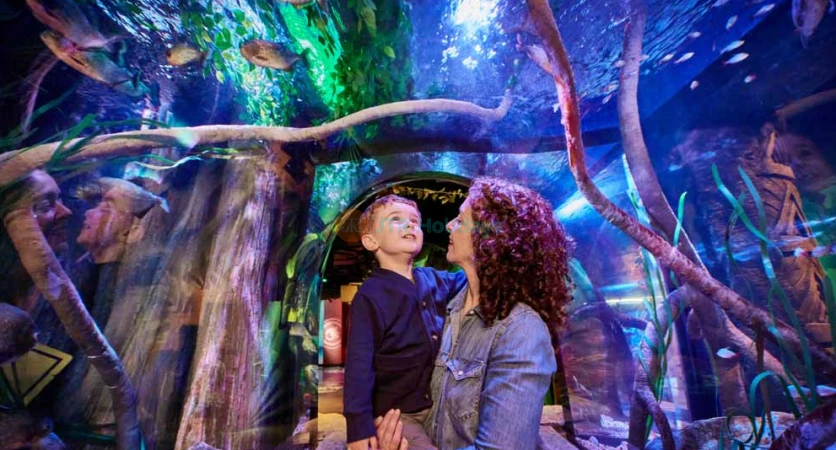 SEA LIFE New Jersey Aquarium at American Dream | Family-Friendly Marine Adventure - JTR Holidays