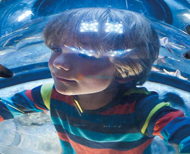 SEA LIFE New Jersey Aquarium at American Dream | Family-Friendly Marine Adventure - JTR Holidays - Image 2 of 5